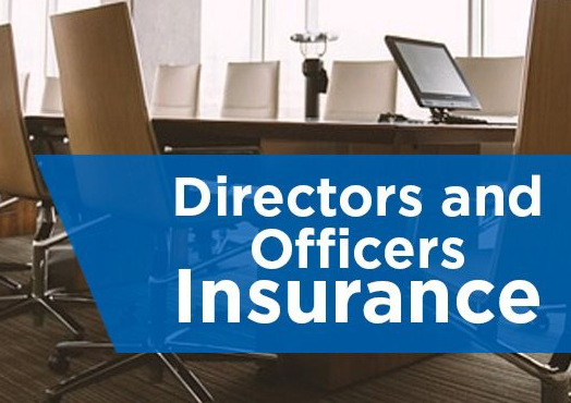 Directors & Officers Liability Insurance