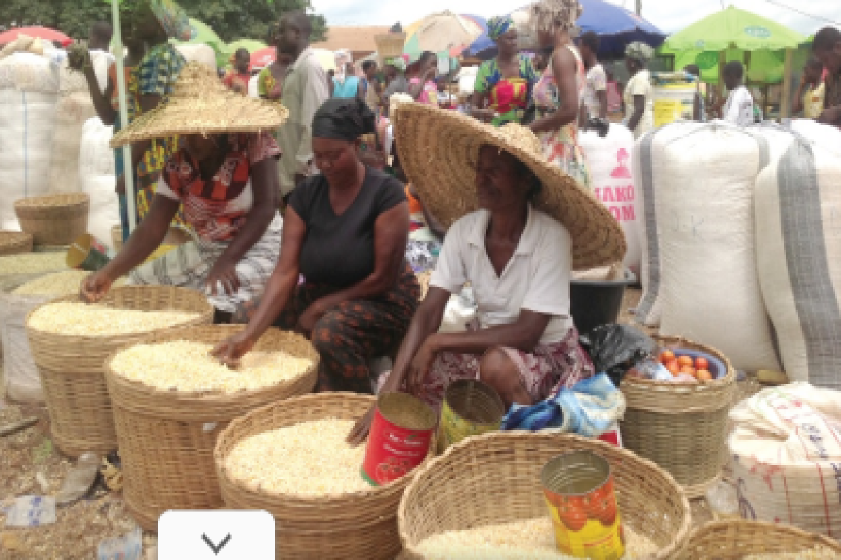 SME / Business Insurance